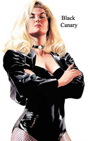 Black Canary Leather Jacket Costume