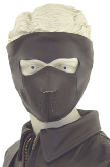 SISSY BAR BAG 1 ALL LEATHER IS ON SALE FOR $115.00